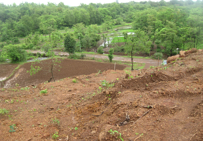 Vrundavan View 07