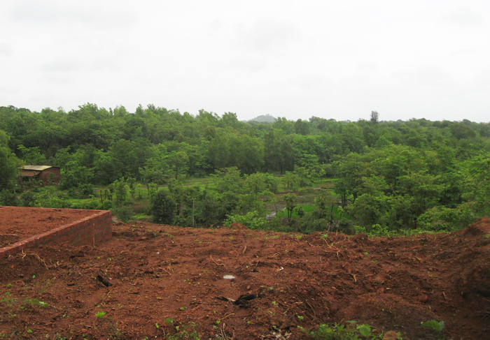 Vrundavan View 10