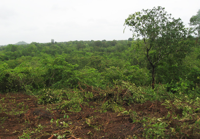 Vrundavan View 11