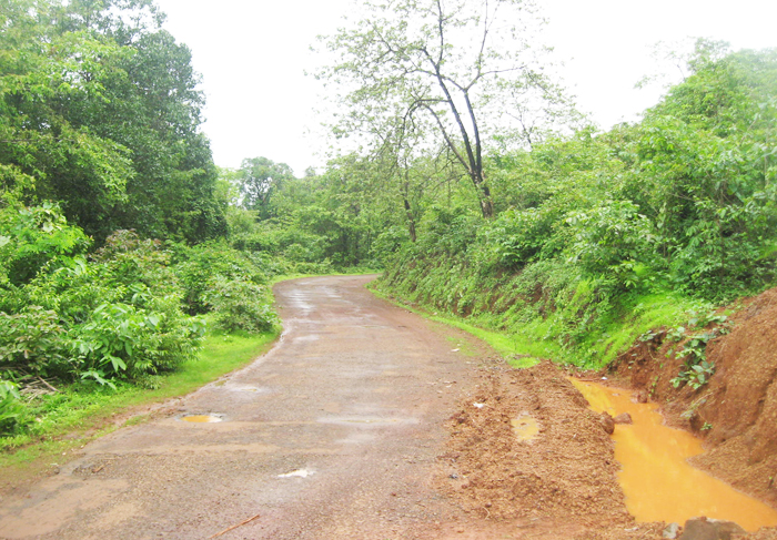 Vrundavan View 14