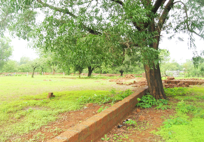 Vrundavan View 03