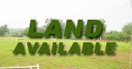 Agriculture Land and Plots